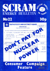 Nr 22, Febr/March 1981; cracking reactors, don't pay for nuclear power, Irish uranium, appropriate technology