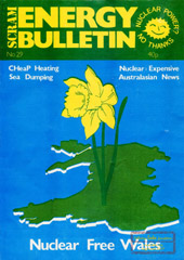 Nr 29, April/May 1982; Energy debate, sea dumping, the real costs, cymru Ddi-niwcliar