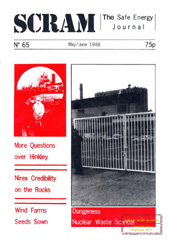 Nr 65, May/June 1988; Questions over Hinkley, Radioactive Britain, NIREX- rocks of Ages, Magnox waste policy, privatisation