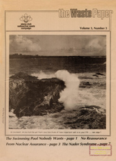 Vol.3 Nr.3- Summer 1981: waste storage in salt; transport safety; organizing tips; Indian Point spent fuel pool